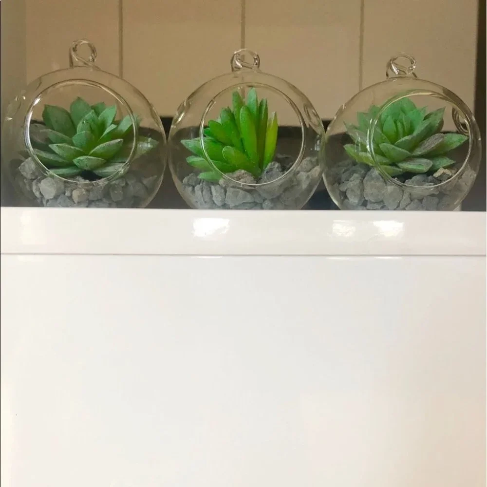 Set of 3 succulent terrariums - Picture 14 of 16